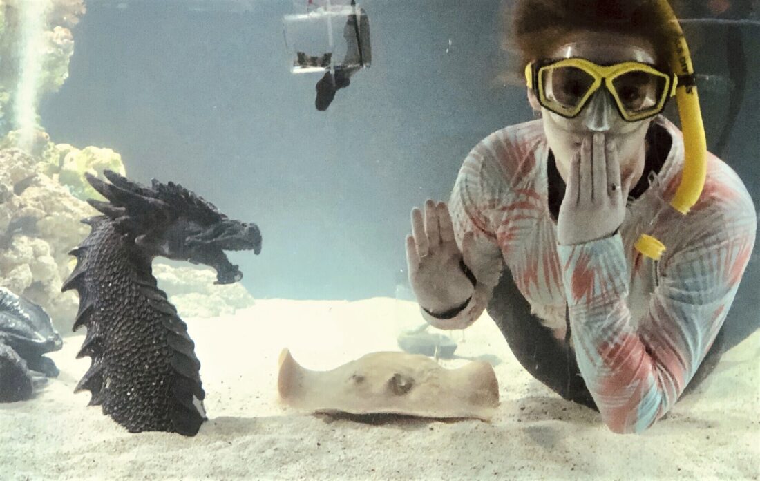 Charlotte, a stingray with no male companion, is pregnant in her mountain aquarium | News, Sports, Jobs - Vimarsana News
